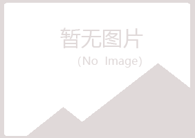 庆阳西峰夏岚化学有限公司